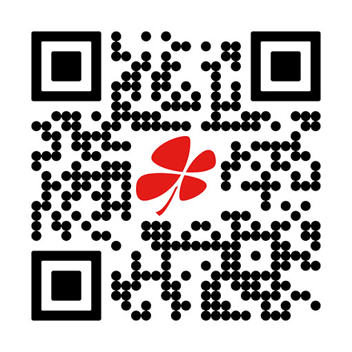 PlayOff App QR Code